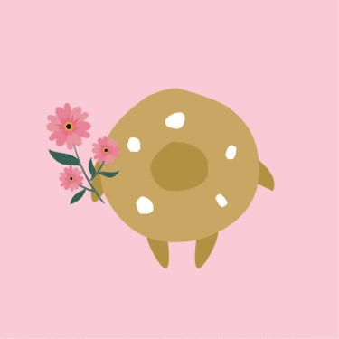 ChefCookie.nl - Zomaar
